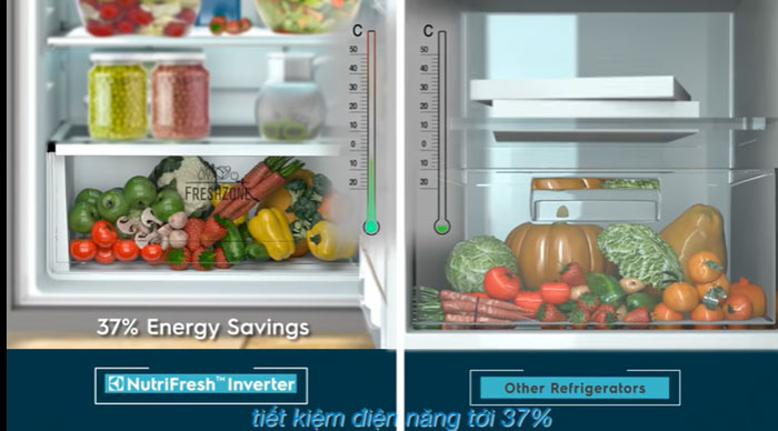 Electrolux EQE5660A B có khả năng tiết kiệm điện hiệu quả