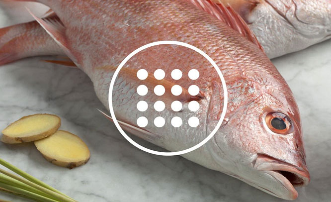 tủ lạnh 2 cánh Electrolux EBB3402K có công nghệ diệt khuẩn hiện đại tủ lạnh 2 cánh Electrolux EBB3402K có công nghệ diệt khuẩn hiện đại