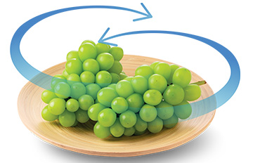 Tủ lạnh Hitachi Inverter 240 lít HRTN5255MFUVN