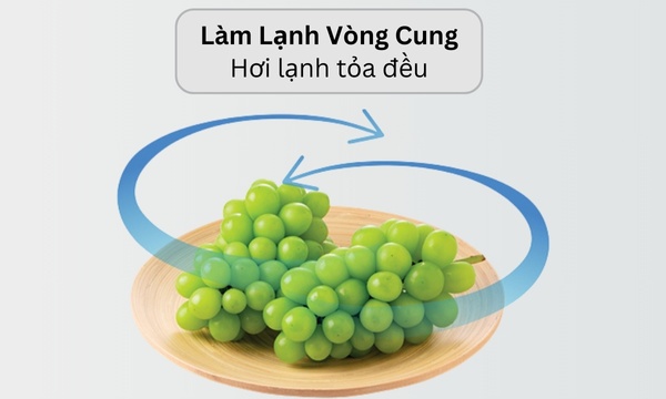 Tủ lạnh Hitachi Inverter 525 lít HRSN9552DDXVN ứng dụng công nghệ làm lạnh vòng cung hiện đại Tủ lạnh Hitachi Inverter 525 lít HRSN9552DDXVN ứng dụng công nghệ làm lạnh vòng cung hiện đại