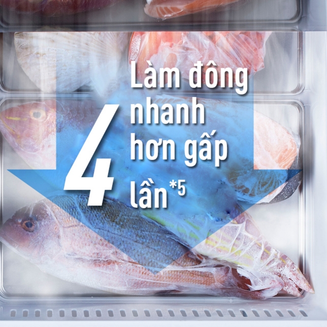 Ngăn cấp đông nhanh tiện dụng