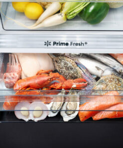 Tủ lạnh Panasonic NR-BX471XGKV Inverter 420 lít