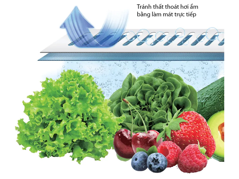 Tủ lạnh Toshiba GR-RF690WI-PGV(67) có ngăn rau củ Tủ lạnh Toshiba GR-RF690WI-PGV(67) có ngăn rau củ