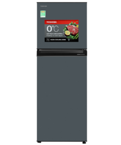Tủ lạnh Toshiba Inverter 253 lít GR-RT329WE-PMV(52)