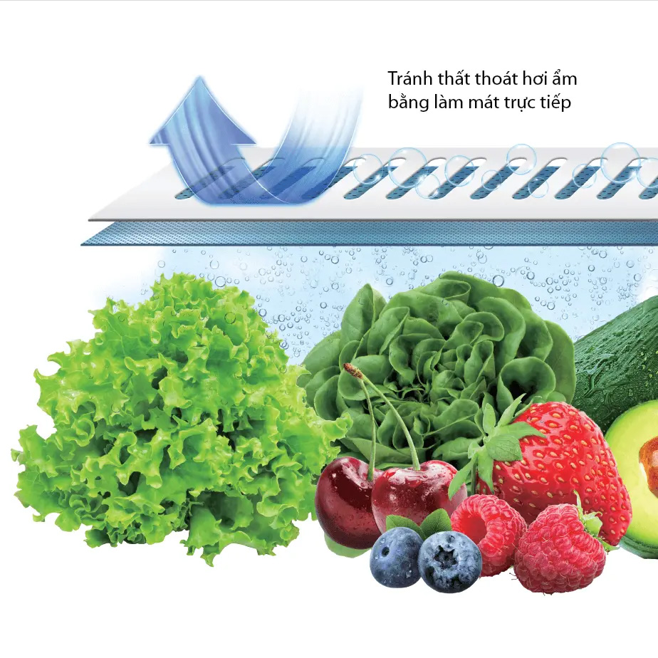 Tủ lạnh Japandi Toshiba GR-RF695WI-PGV(67)