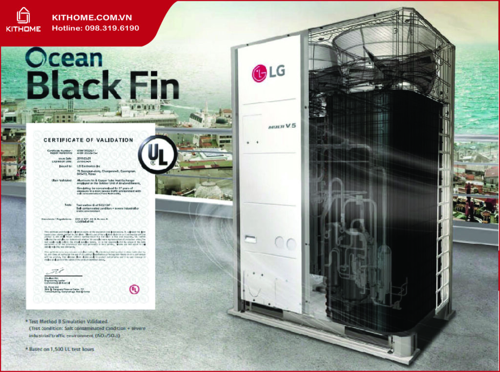 Chống ăn mòn vây đen