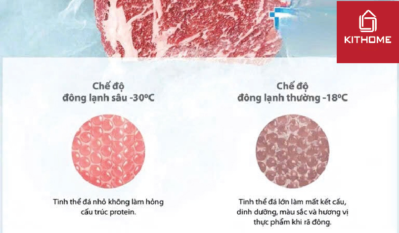 Tủ lạnh Toshib GR-RF690WI-PGV(67) dùng công nghệ Ag diệt khuẩn và khử mùi hiệu quả