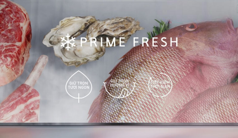 Tủ lạnh Panasonic giá rẻ NR-BV281BGMV có ngăn chứa rộng rãi