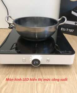 Bếp từ Eurosun EU-T197