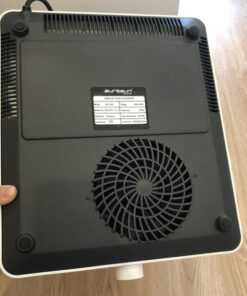 Bếp từ Eurosun EU-T197