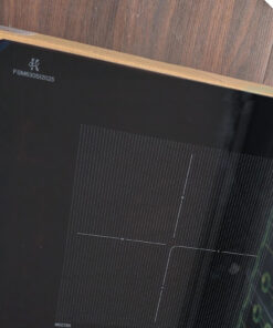 Bếp từ Faster FS 630SI