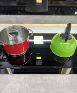 Bếp từ Faster FS 738I Plus