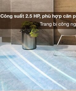 Điều hòa tủ đứng LG Inverter 24.000BTU ZPNQ24GS1A0 + V24PACU (1 pha)