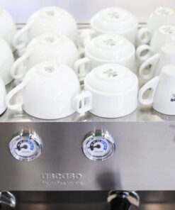 Máy pha cà phê 2 Group Ascaso Trio TR-12