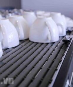 Máy pha cà phê chuyên nghiệp Rancilio Classe 5 USB 2 Group