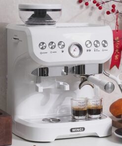 Máy pha cà phê Espresso Winci EM5212