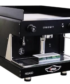 Máy pha cà phê chuyên nghiệp Wega Pegaso EVD 1GR