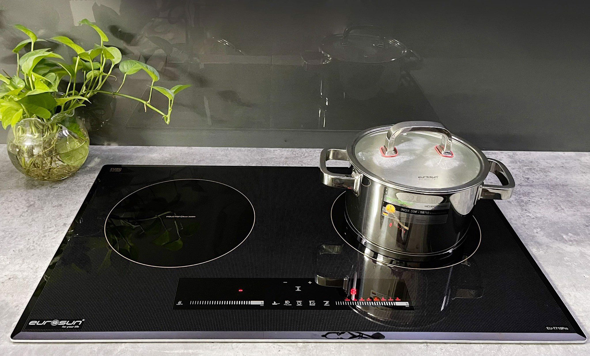 phoi-canh-bep-tu-eurosun-eu-t710pro-s-3 Bếp từ Eurosun EU-T710Pro Silver | Màu bạc