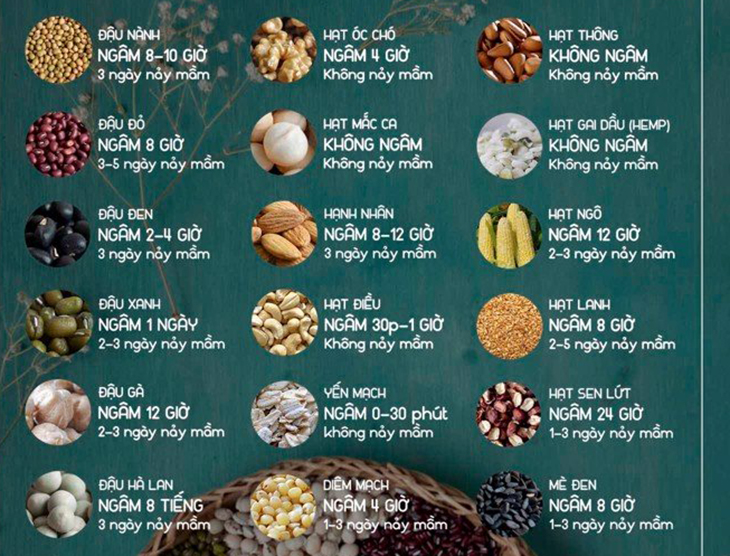 101 Công Thức Làm Sữa Hạt Bằng Máy – Tủ Sách Vàng Cho Người Sống Khỏe Mỗi Ngày