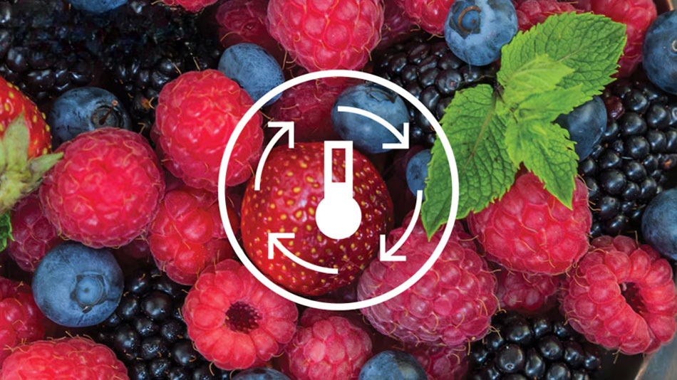 tủ lạnh Electrolux 2 cánh ETB3740M-H trang bị công nghệ Inverter tiên tiến tủ lạnh Electrolux 2 cánh ETB3740M-H trang bị công nghệ Inverter tiên tiến