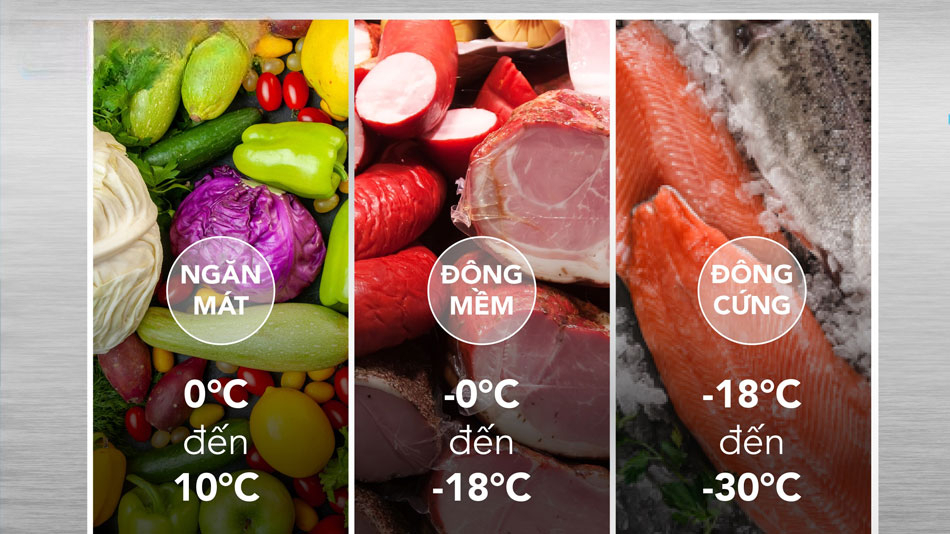 tủ đông Hòa Phát AD6352.T1 bền bỉ tủ đông Hòa Phát AD6352.T1 bền bỉ