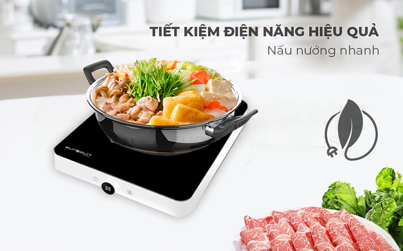 Bếp từ đơn Eurosun