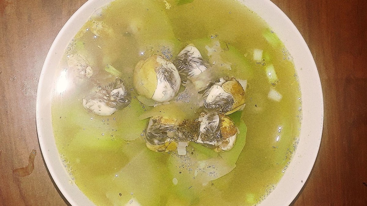 trứng cút lộn um bầu thơm ngon, thanh đạm cho bữa cơm gia đình trứng cút lộn um bầu thơm ngon, thanh đạm cho bữa cơm gia đình