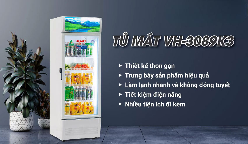 Tổng quan về tủ mát Sanaky Inverter 300 lít 1 cánh VH-3089K3