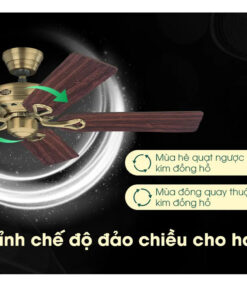 Quạt trần Hunter Savoy 24520