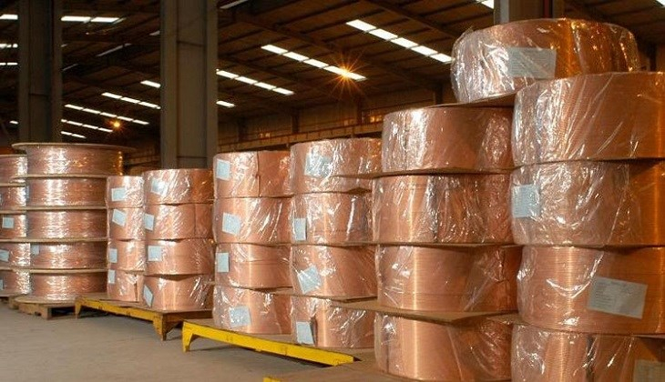 Cá bánh lái là cá gì? 3 món ăn từ cá bánh lái ngon nhất bạn nên thử