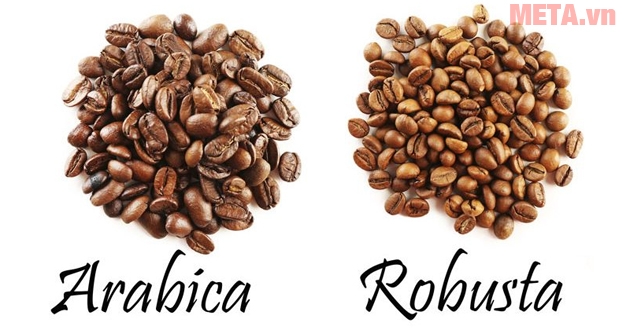 phan-biet-ca-phe-arabica-va-robusta-to