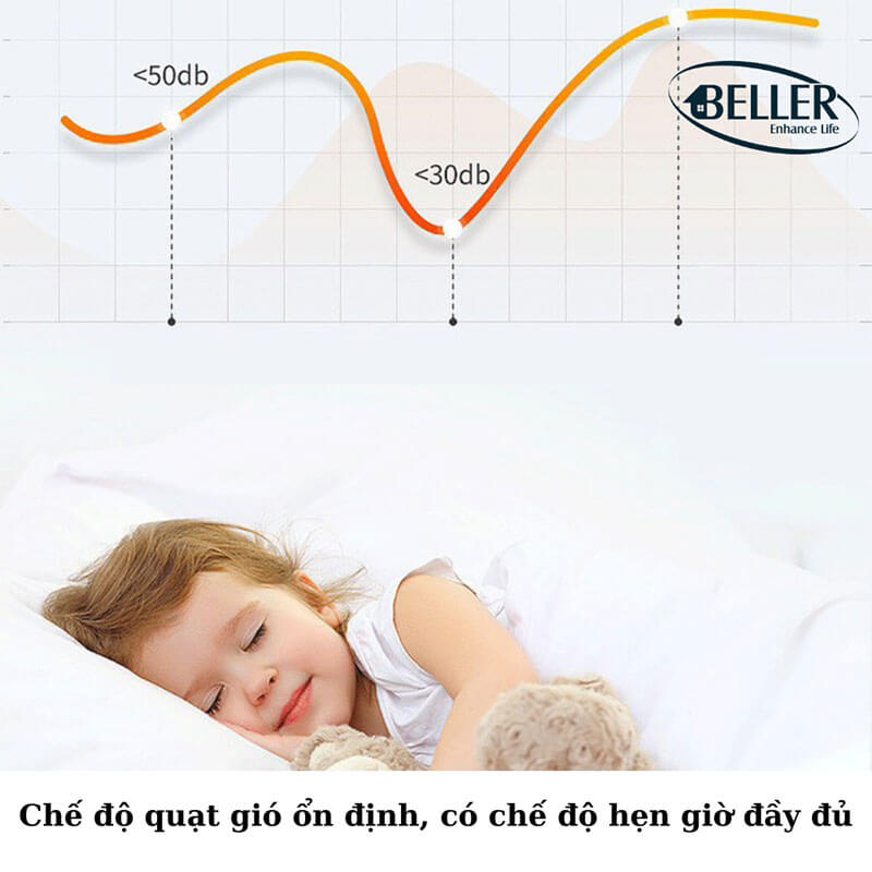 quat-tran-beller-311w-kd-2