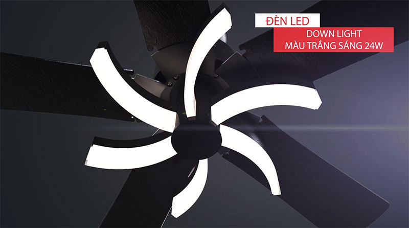 Benny Romantico BF-C43V có đèn chiếu sáng Benny Romantico BF-C43V