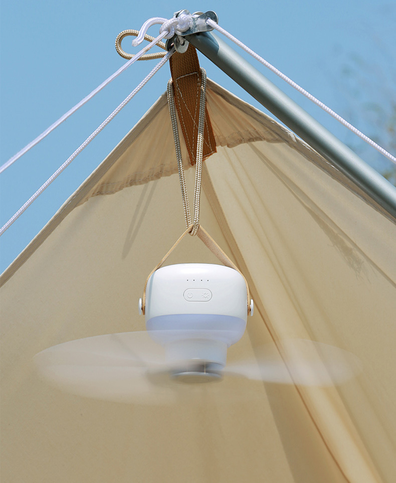 TS2286 phù hợp với nhiều loại không gian Tiross TS2286