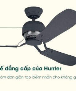 Quạt trần Hunter Industrie II 24545