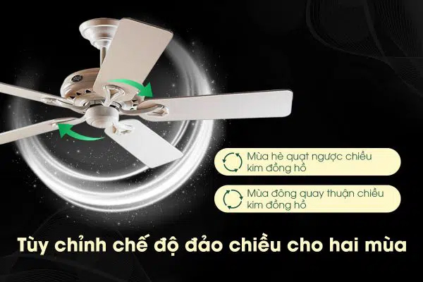 Hunter Savoy 24526 có chế độ đảo chiều Hunter Savoy 24526