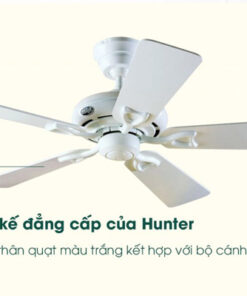 Quạt trần Hunter Seville II 24037