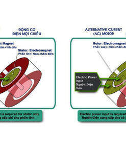 Quạt trần KDK N56YG (3 cánh - 5 tốc độ)