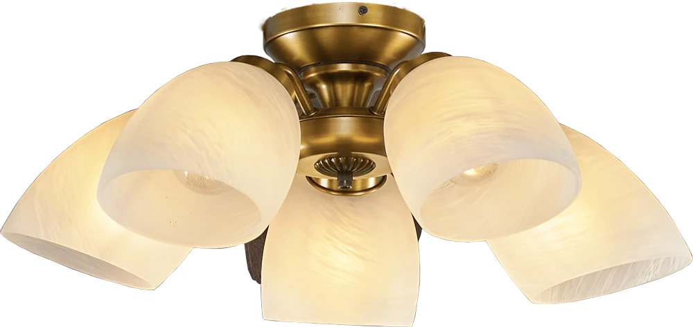 Quạt trần Mr Vũ Lotus Plus