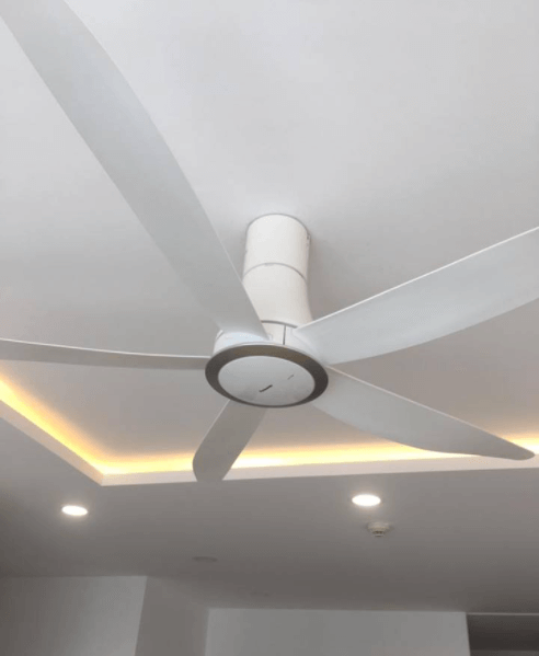 Thiết kế gọn gàng, chắc chắn Thiết kế gọn gàng, chắc chắn