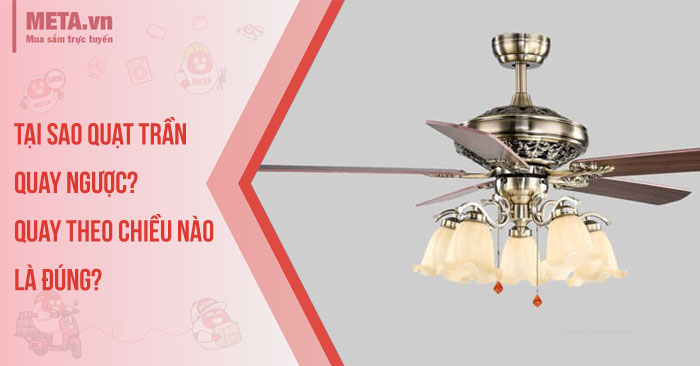 quat-tran-quay-nguoc-tai-sao