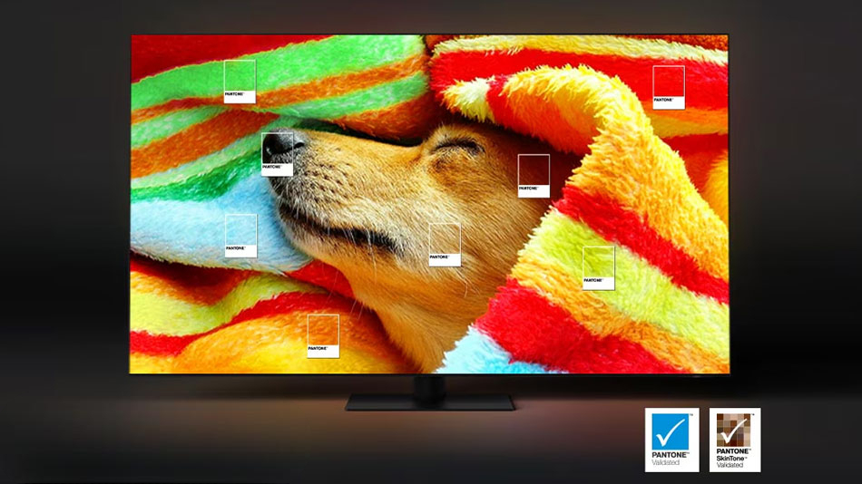 Tivi Samsung QA65QN85FAKXXV có thiết kế hiện đại, tinh xảo phù hợp với mọi không gian