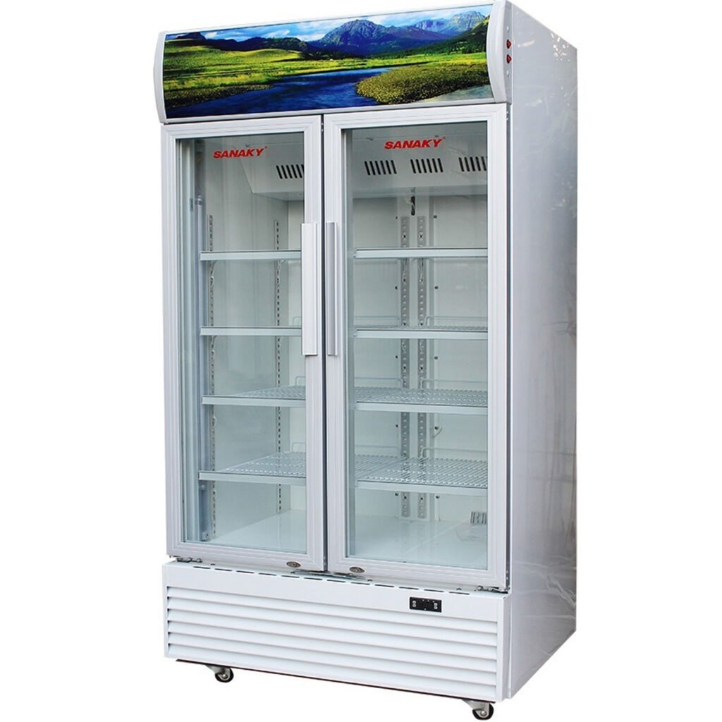 Review Tủ Mát Sanaky VH-8009HP3 – Có Nên Mua Cho Quán, Tạp Hóa?
