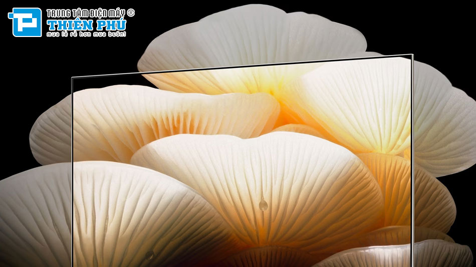 Smart Tivi LG OLED 55 Inch 4K 55LX1TPSA