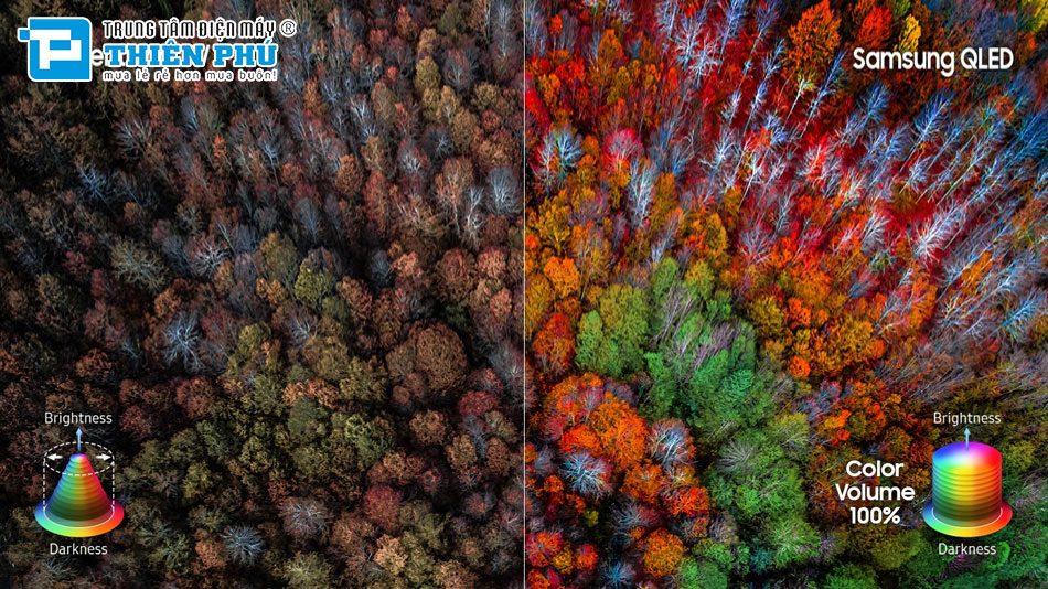 Smart Tivi Samsung QLED 75 Inch 4K QA75Q70DAKXXV