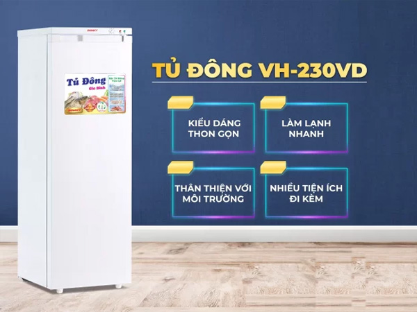 Tủ đông Sanaky VH-230VD