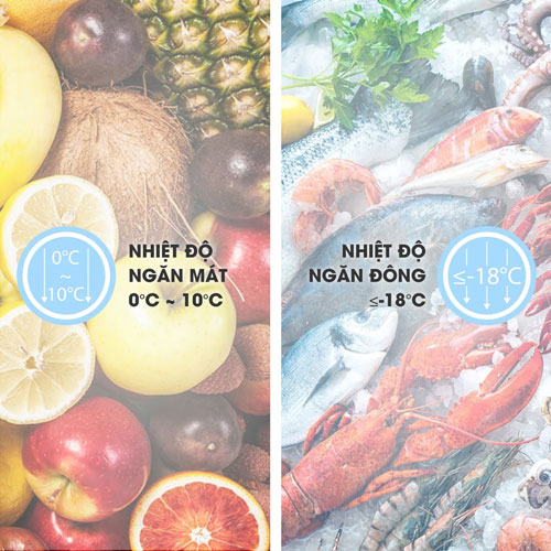 tủ đông Sanaky VH-2599W3 có ngăn mát và ngăn đông riêng biệt tủ đông Sanaky VH-2599W3 có ngăn mát và ngăn đông riêng biệt