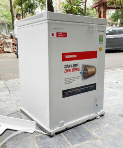 Tủ đông Toshiba GR-RC185CM-PMV(01) (143 lít)