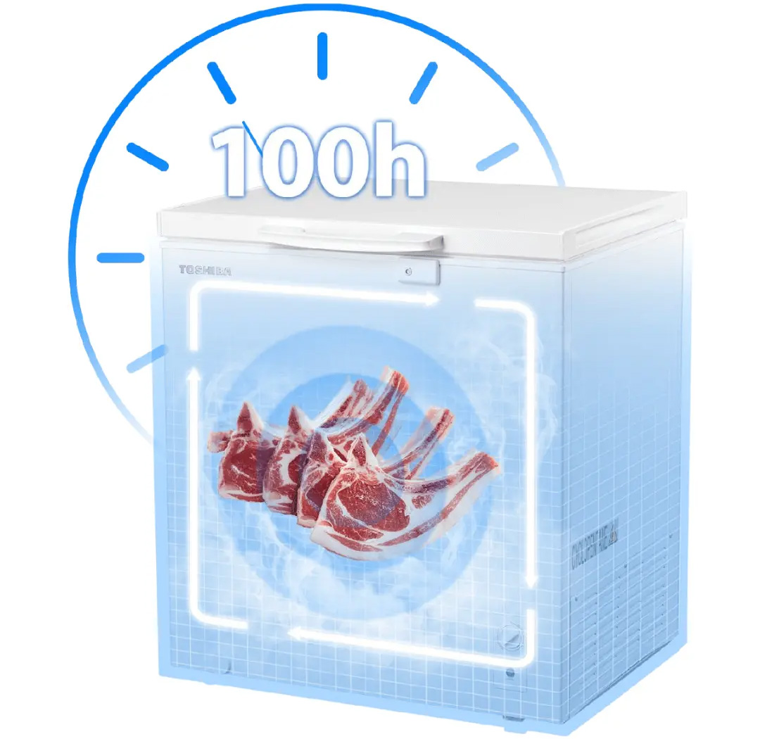 Toshiba GR-RC185CM-PMV(01) (143 lít)