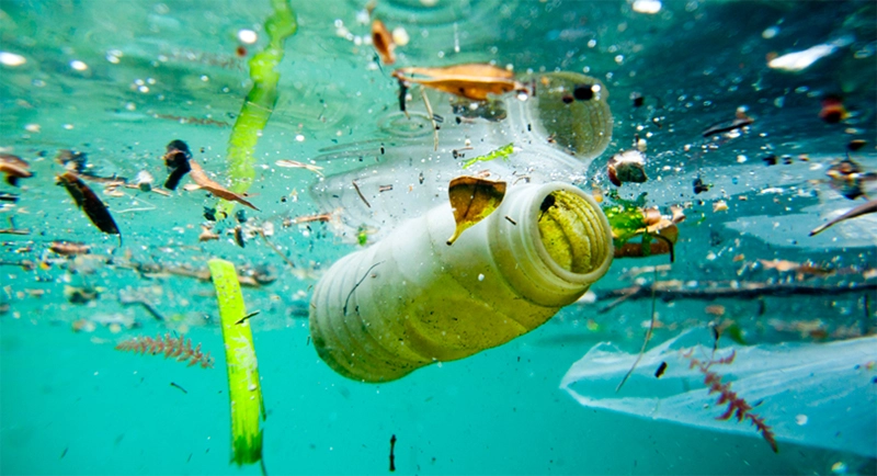 Giật mình với những bệnh do ô nhiễm nguồn nước – 10 cách làm sạch cứu nguy